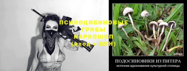 экстази Горняк