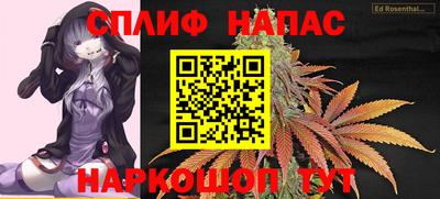 ГАЛЛЮЦИНОГЕННЫЕ ГРИБЫ Заводоуковск