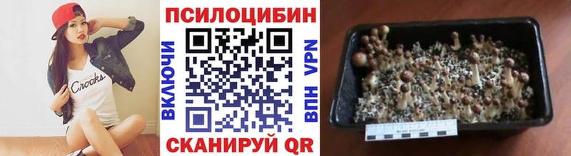 Псилоцибиновые грибы ЛСД  кракен вход  Назарово 