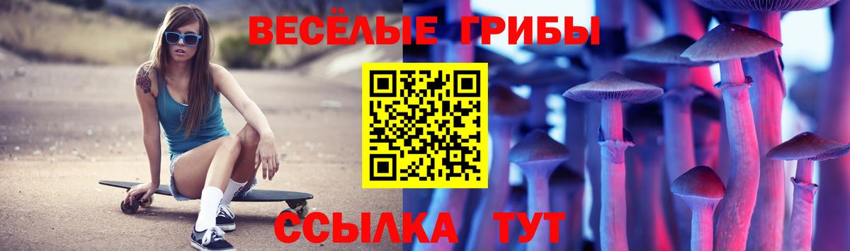 Псилоцибиновые грибы Cubensis Назарово